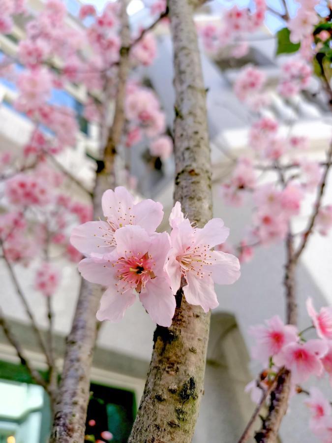 Kobaya 居民 宿 金湖鎮 エクステリア 写真